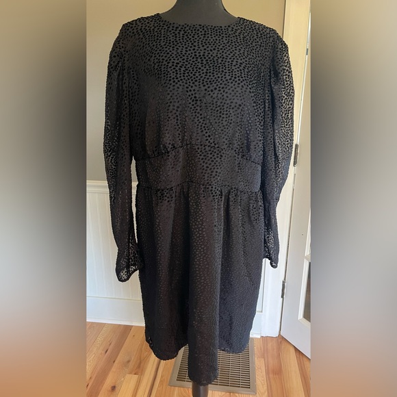 Express mini dress - Picture 1 of 6